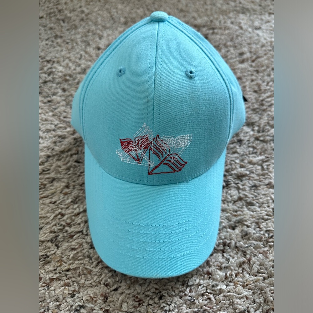 TYR Swim Baseball Cap Hat NWT Turquoise Aqua Blue M/L